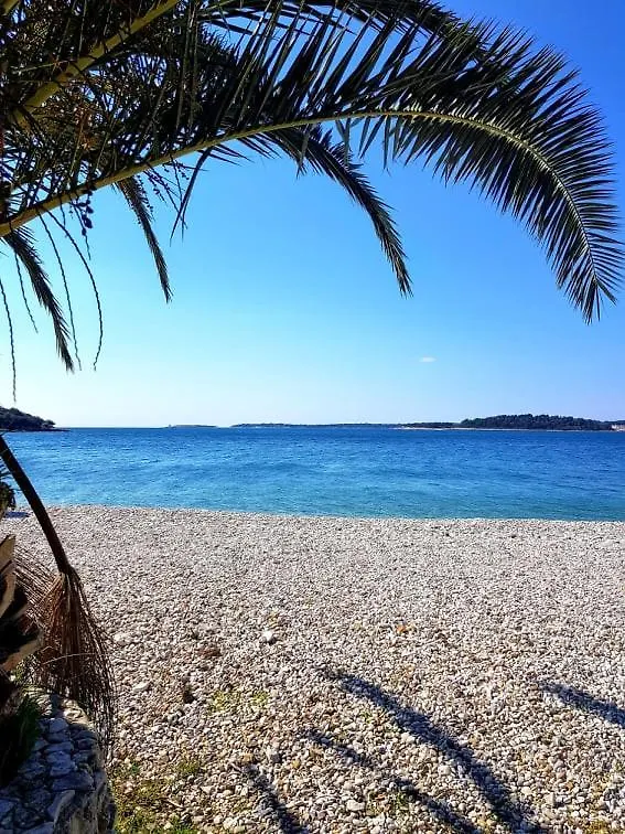 Apartmani Petra Pula Croatia