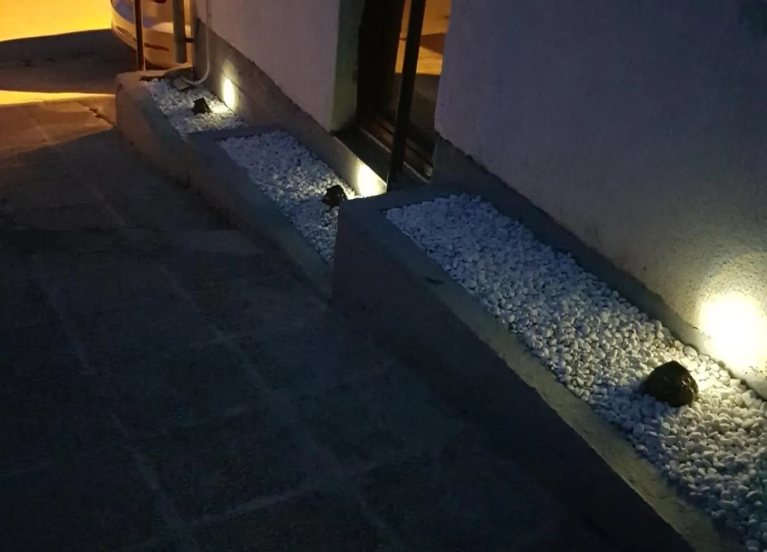 Apartmani Petra Pula 0*,  Croatia