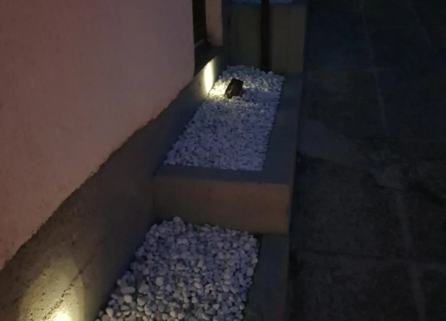 Apartmani Petra Pula